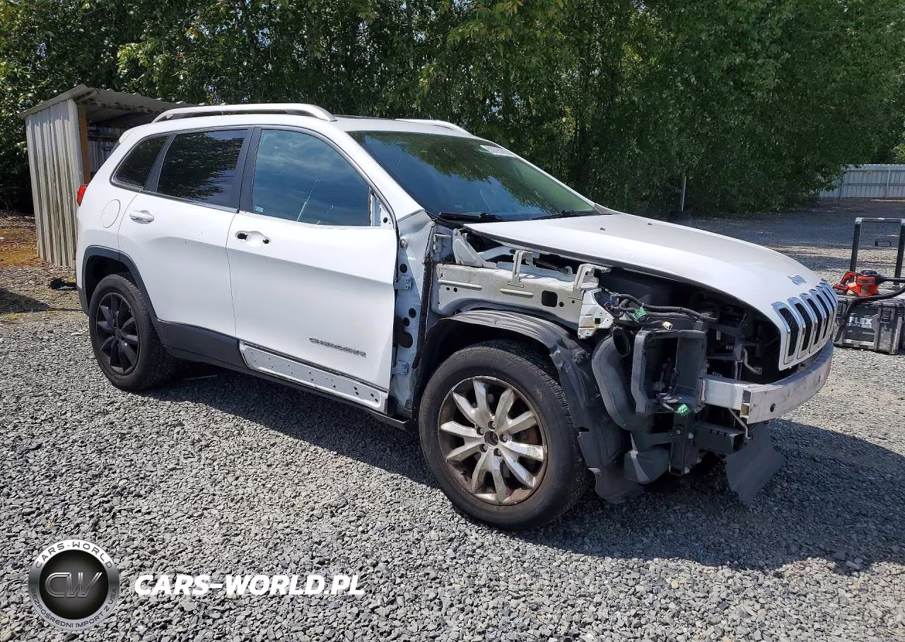 2014 Jeep Cherokee Limited VIN:1C4PJMDS2EW191732 - 4