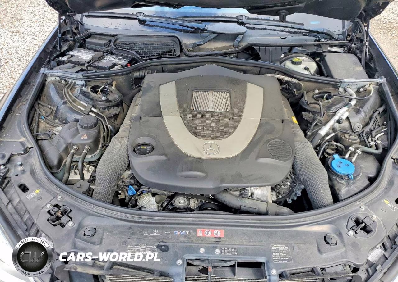 2010 Mercedes-Benz S 550 VIN:WDDNG7BB7AA350008 - 11