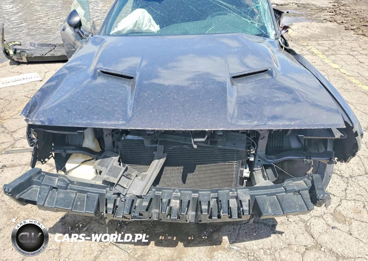 2017 Dodge Challenger Sxt VIN:2C3CDZAG2HH611192 - 11