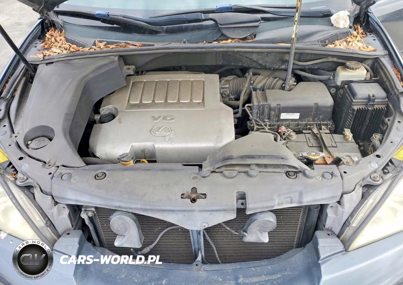2007 Lexus Rx 350 VIN:2T2GK31U97C014664 - 12