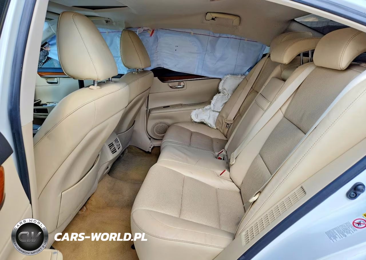 2014 Lexus Es 300H VIN:JTHBW1GG3E2046173 - 10