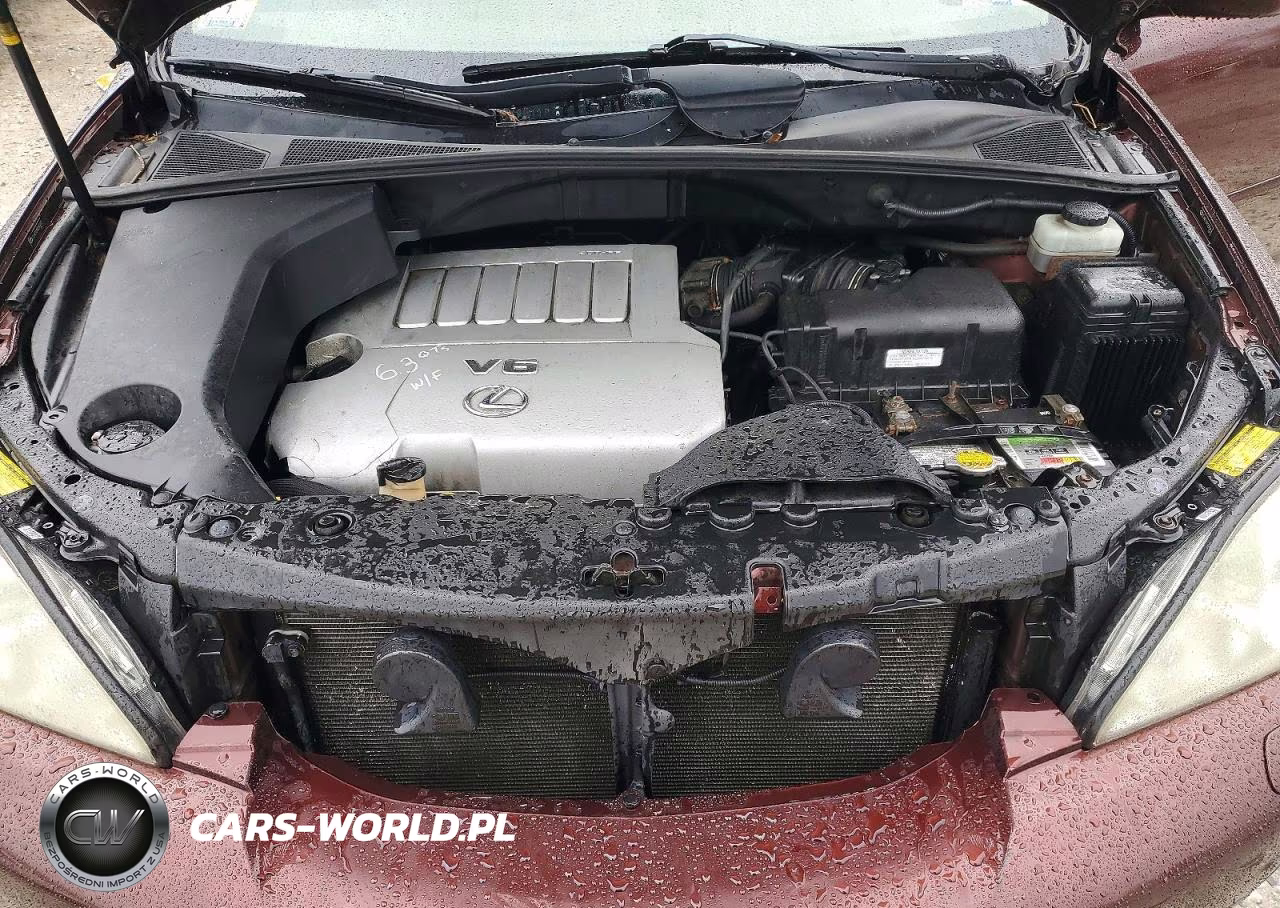 2008 Lexus Rx 350 VIN:JTJHK31U982043412 - 12