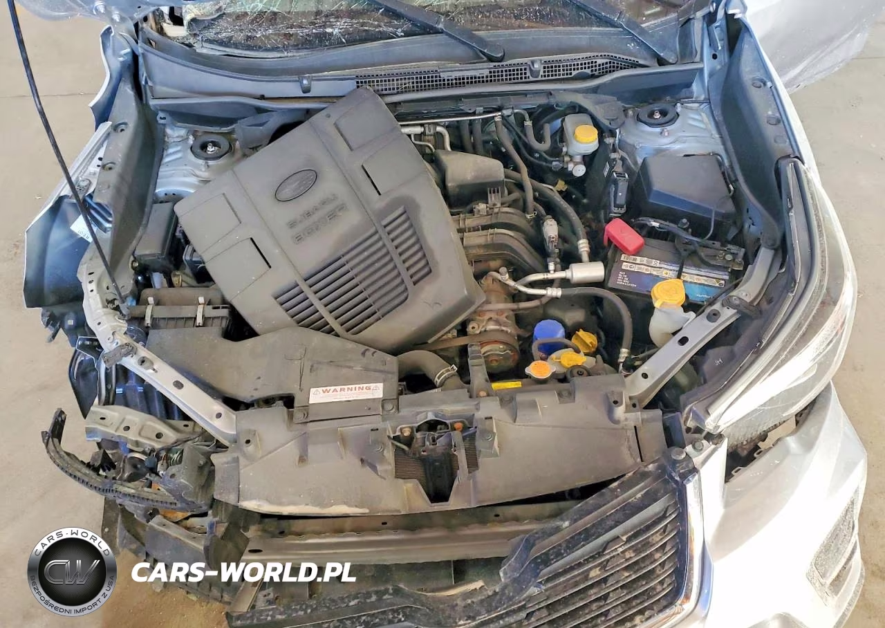 2019 Subaru Forester Limited VIN:JF2SKAUC0KH422112 - 12