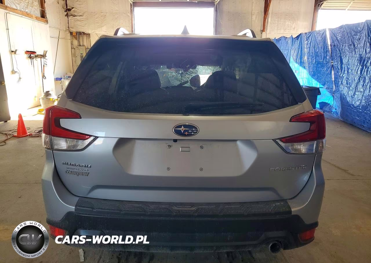 2019 Subaru Forester Limited VIN:JF2SKAUC0KH422112 - 6