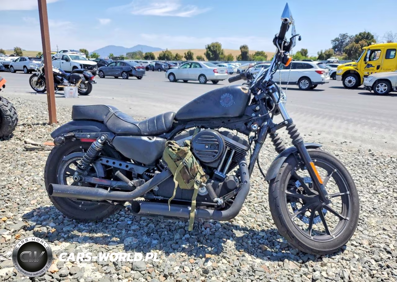 2020 Harley Davidson Xl883 N