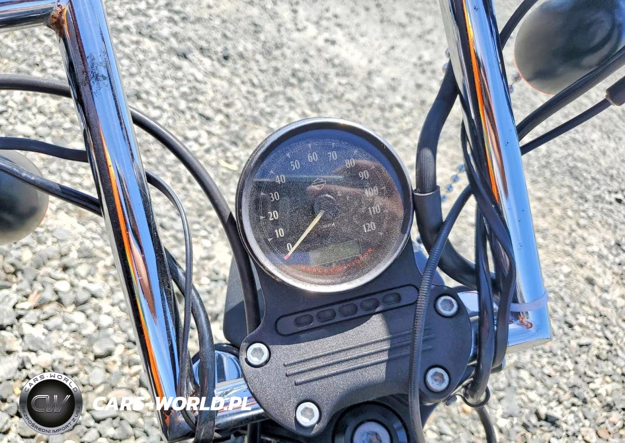 2020 Harley Davidson Xl883 N VIN:1HD4LE214LB428561 - 7