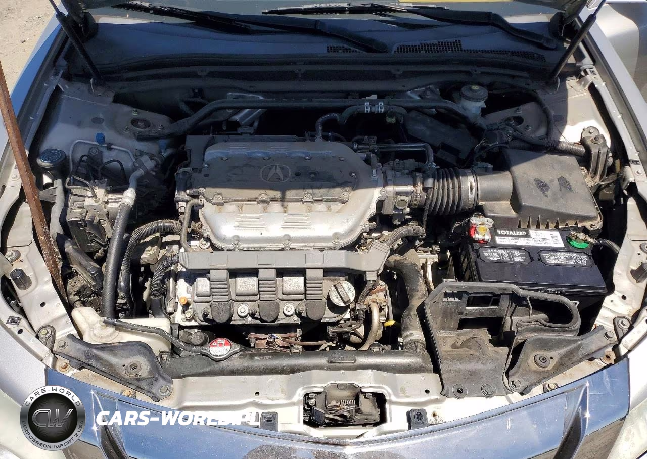 2010 Acura Tl VIN:19UUA8F23AA007673 - 11