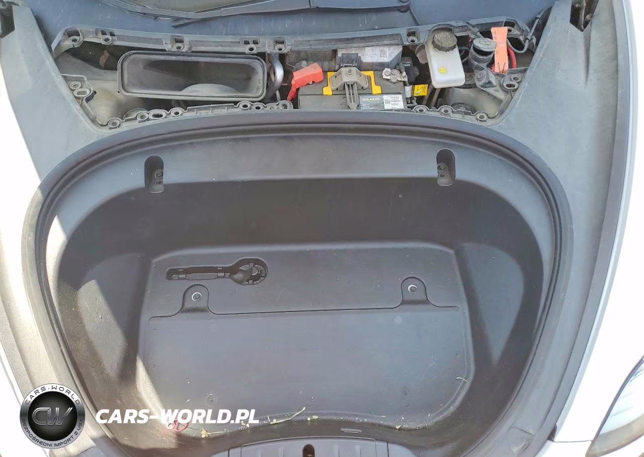 2020 Tesla Model 3 VIN:5YJ3E1EA9LF644804 - 11
