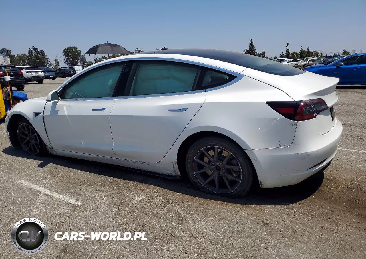 2020 Tesla Model 3 VIN:5YJ3E1EA9LF644804 - 2
