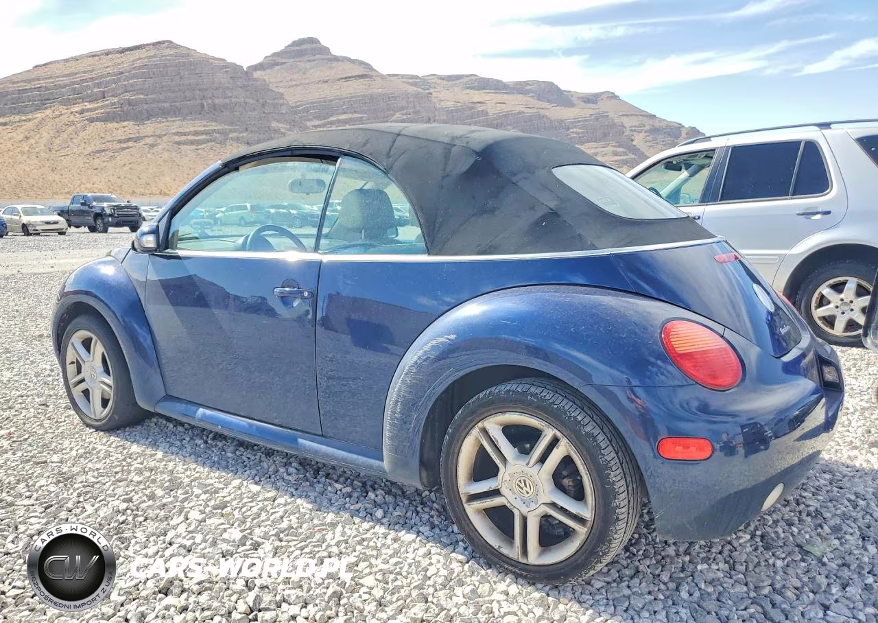 2004 Volkswagen New Beetle Gls VIN:3VWCD31YX4M316691 - 2