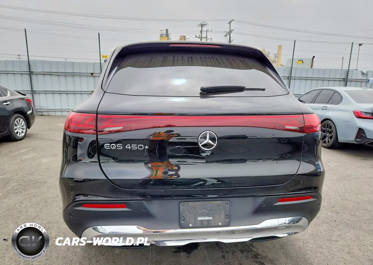 2023 Mercedes-Benz Eqs Suv 450+ VIN:4JGDM2DB3PA009983 - 6