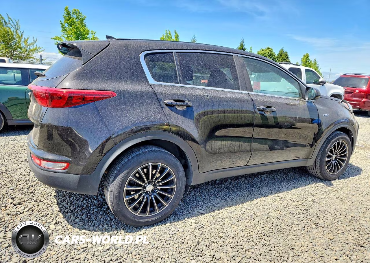 2017 Kia Sportage Lx VIN:KNDPMCAC6H7112236 - 3