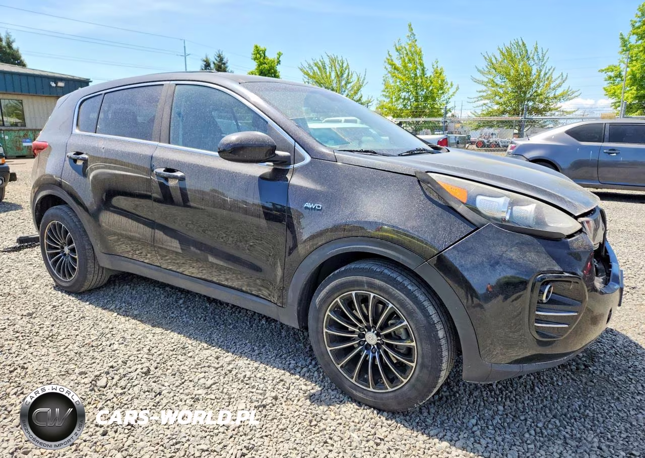 2017 Kia Sportage Lx VIN:KNDPMCAC6H7112236 - 4