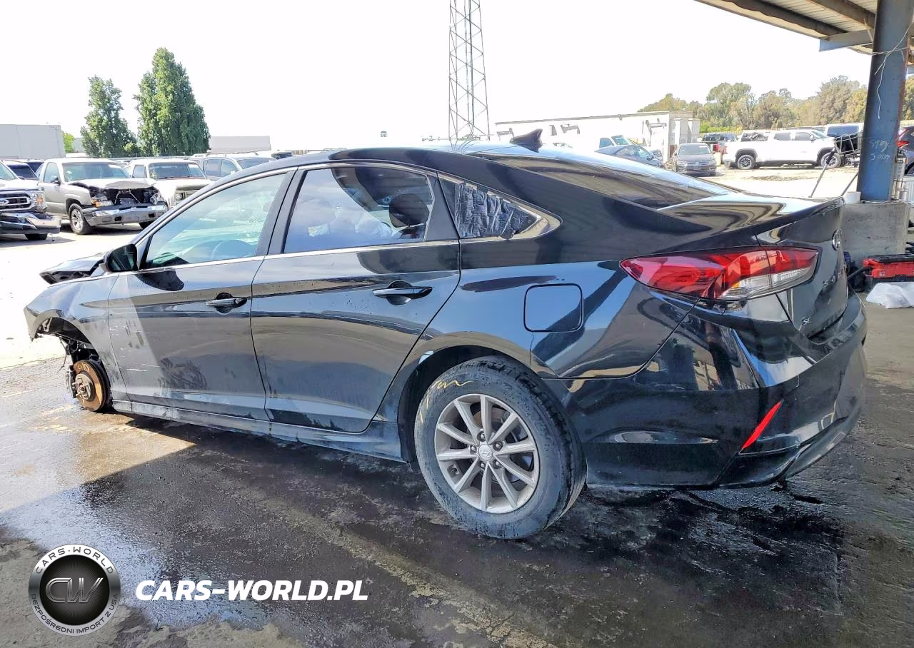2019 Hyundai Sonata Se VIN:5NPE24AF3KH749620 - 2