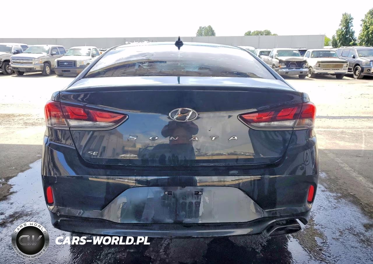2019 Hyundai Sonata Se VIN:5NPE24AF3KH749620 - 6