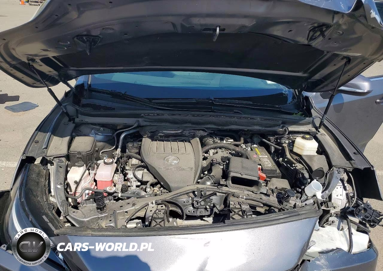 2023 Lexus Rx 350 Premium VIN:2T2BAMCAXPC019622 - 12