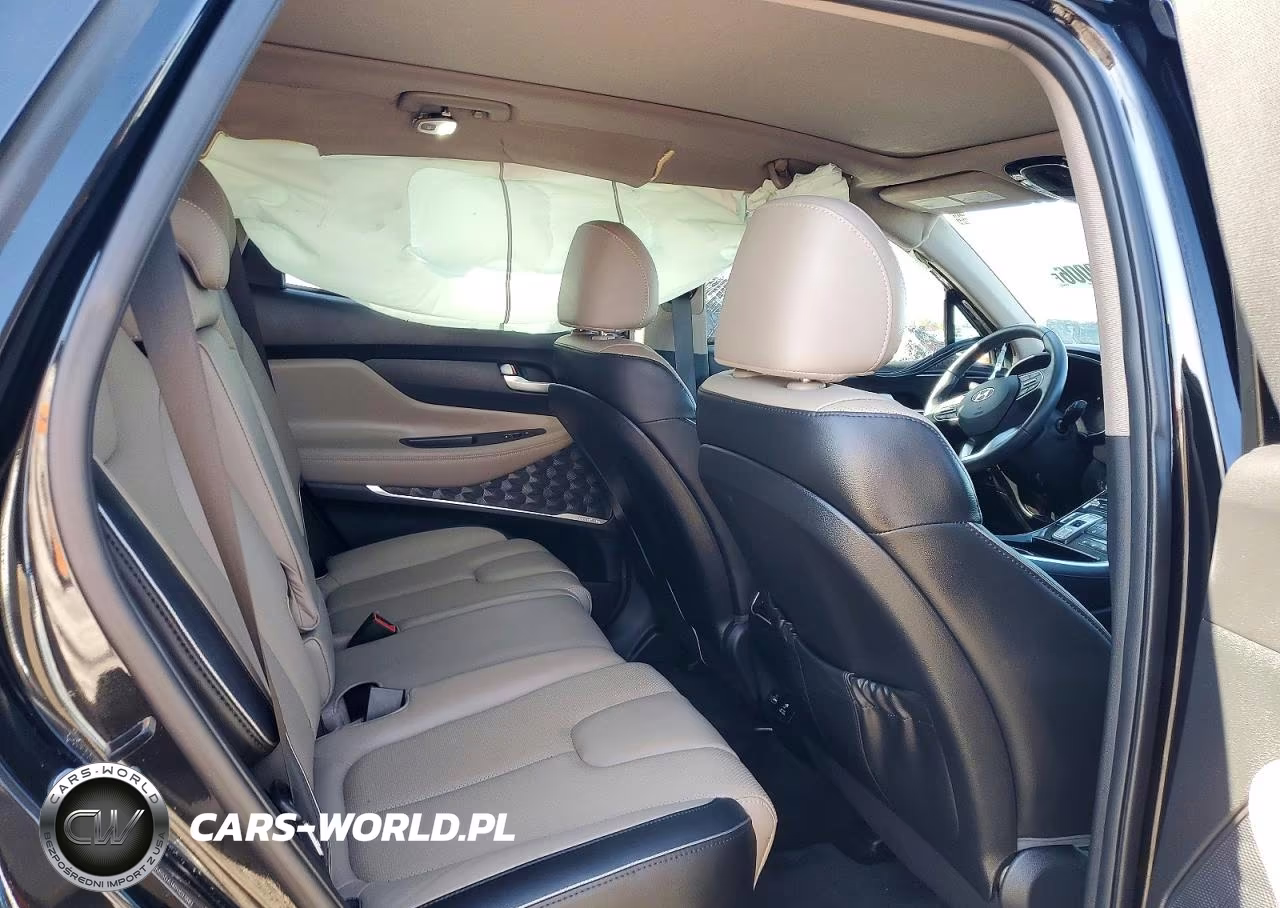 2023 Hyundai Santa Fe Limited VIN:5NMS5DA14PH023882 - 10