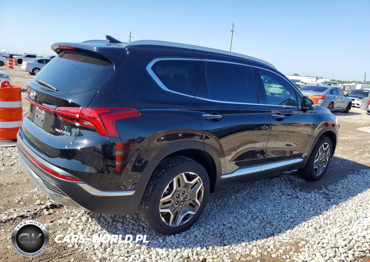 2023 Hyundai Santa Fe Limited VIN:5NMS5DA14PH023882 - 3