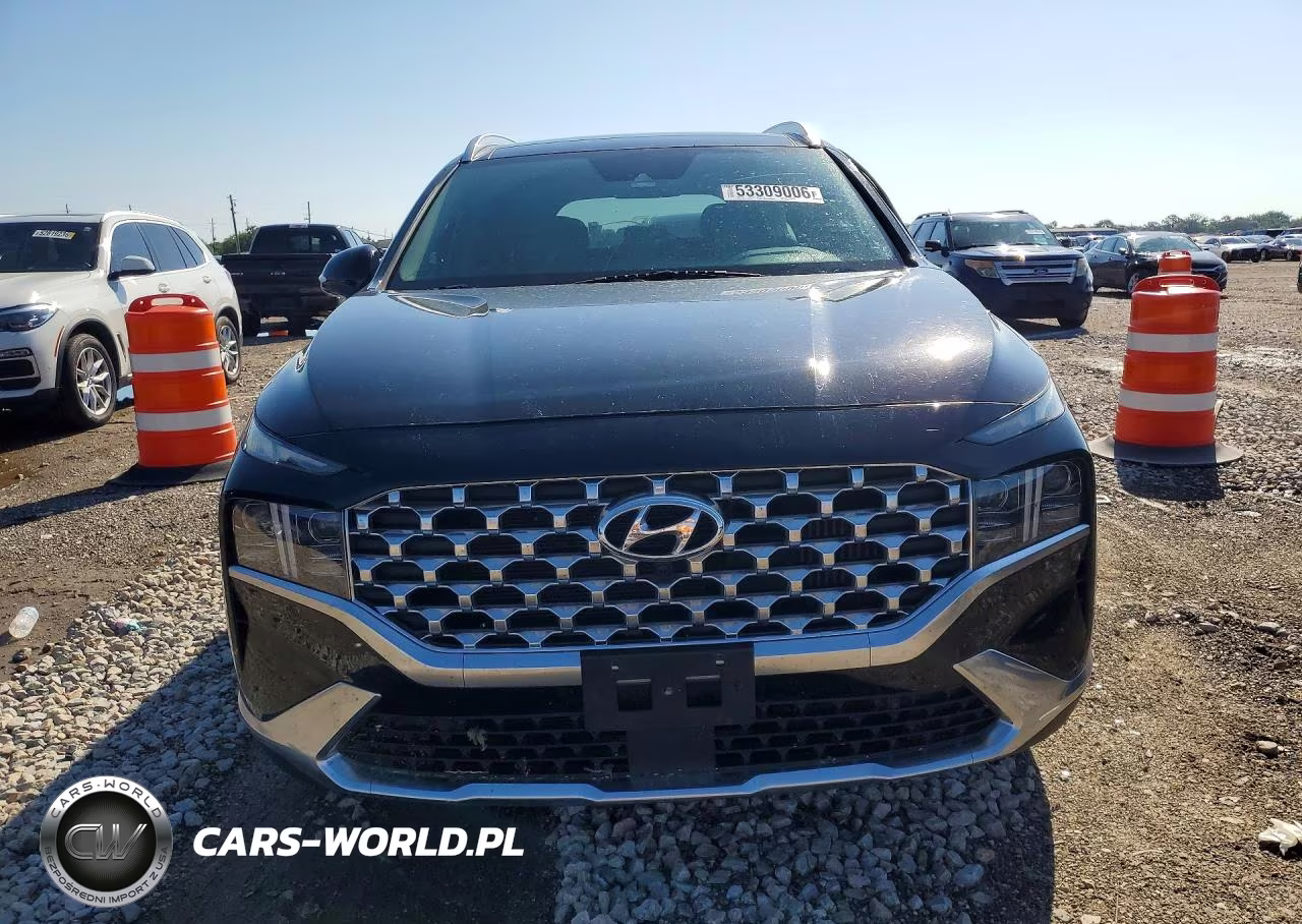 2023 Hyundai Santa Fe Limited VIN:5NMS5DA14PH023882 - 5