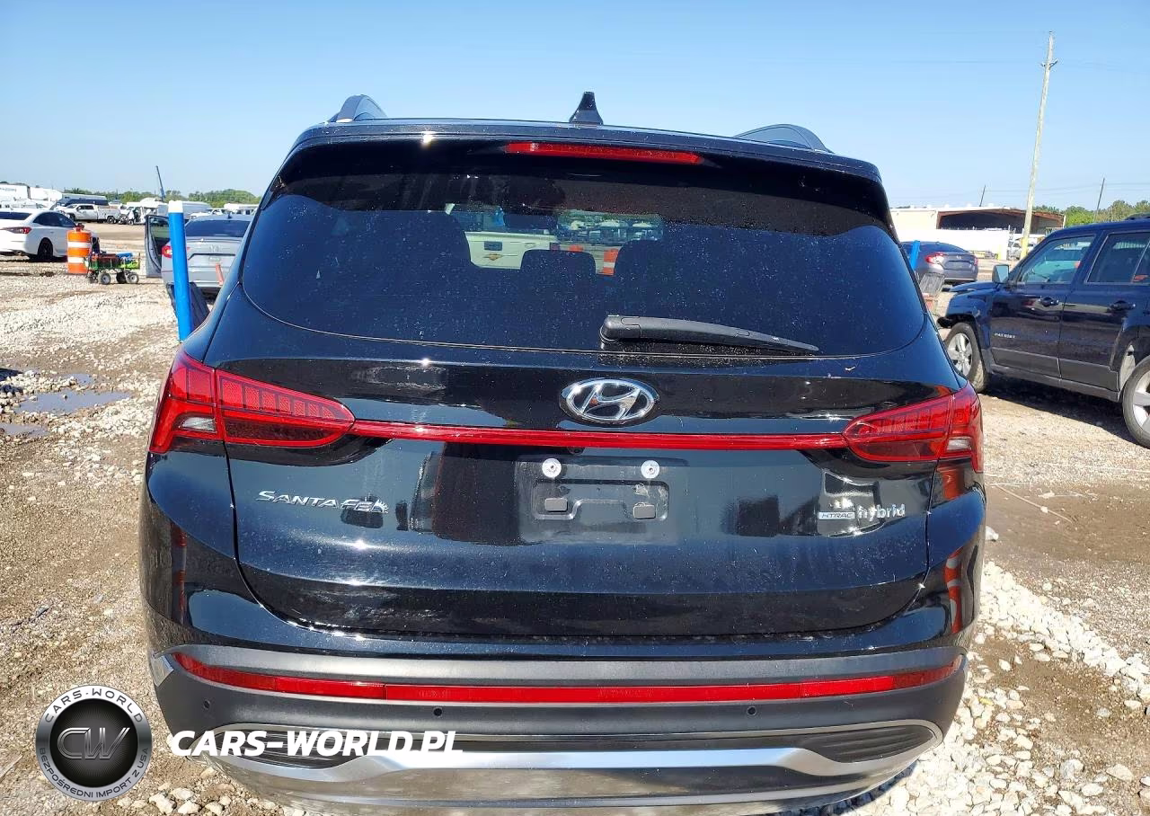 2023 Hyundai Santa Fe Limited VIN:5NMS5DA14PH023882 - 6