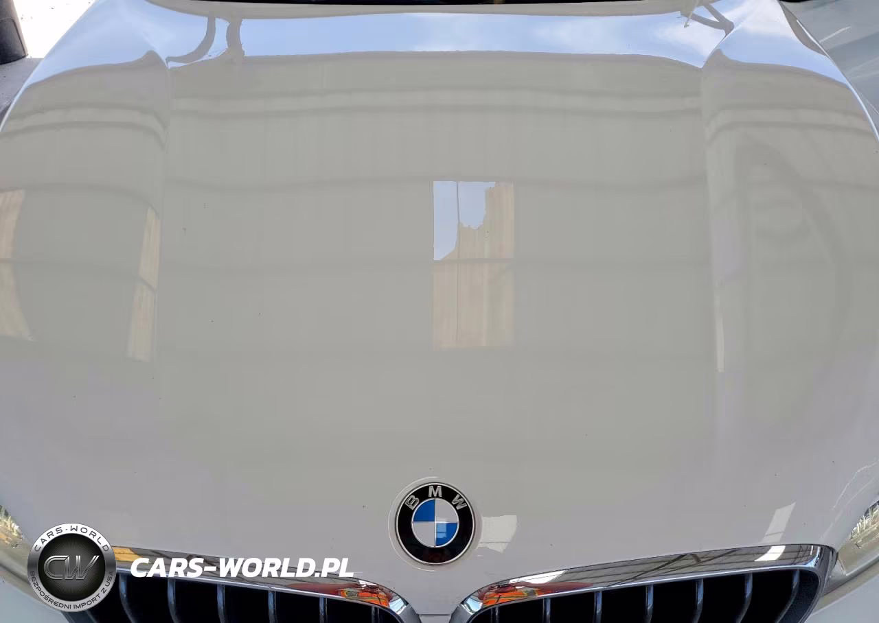 2018 BMW X6 Sdrive35I VIN:5UXKU0C53J0G80953 - 11