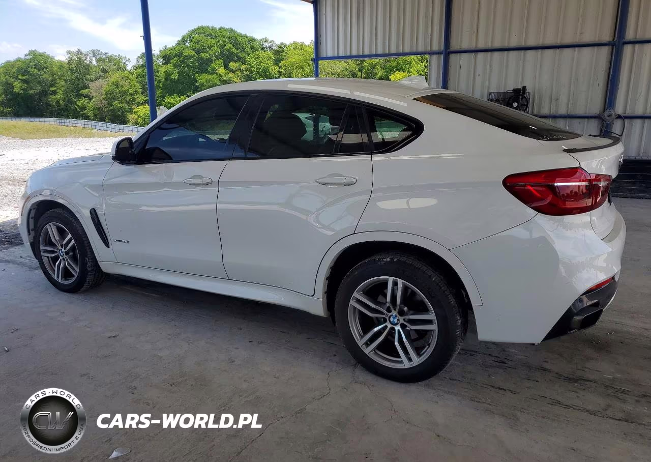 2018 BMW X6 Sdrive35I VIN:5UXKU0C53J0G80953 - 2