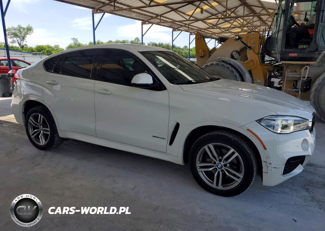 2018 BMW X6 Sdrive35I VIN:5UXKU0C53J0G80953 - 4