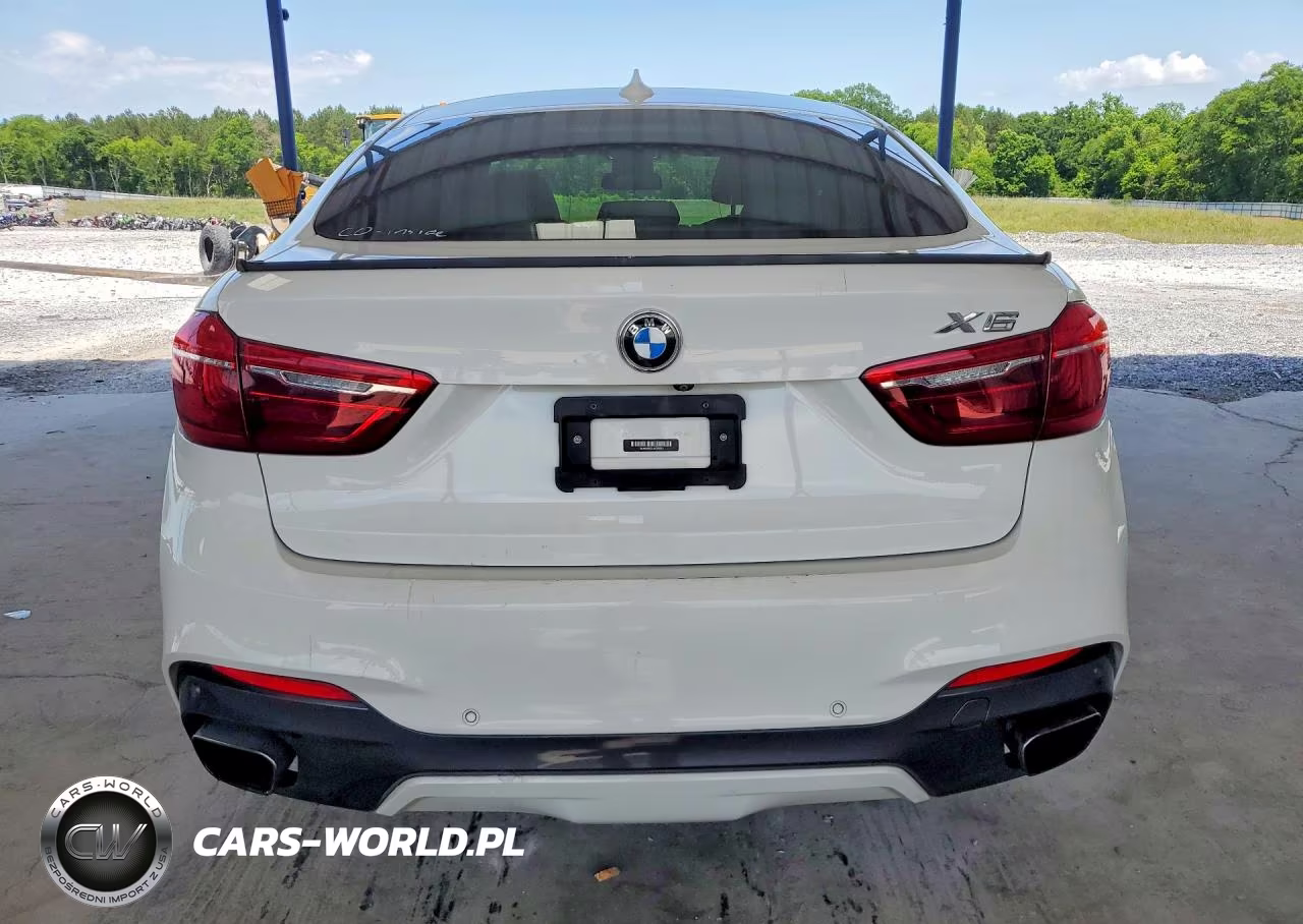 2018 BMW X6 Sdrive35I VIN:5UXKU0C53J0G80953 - 6