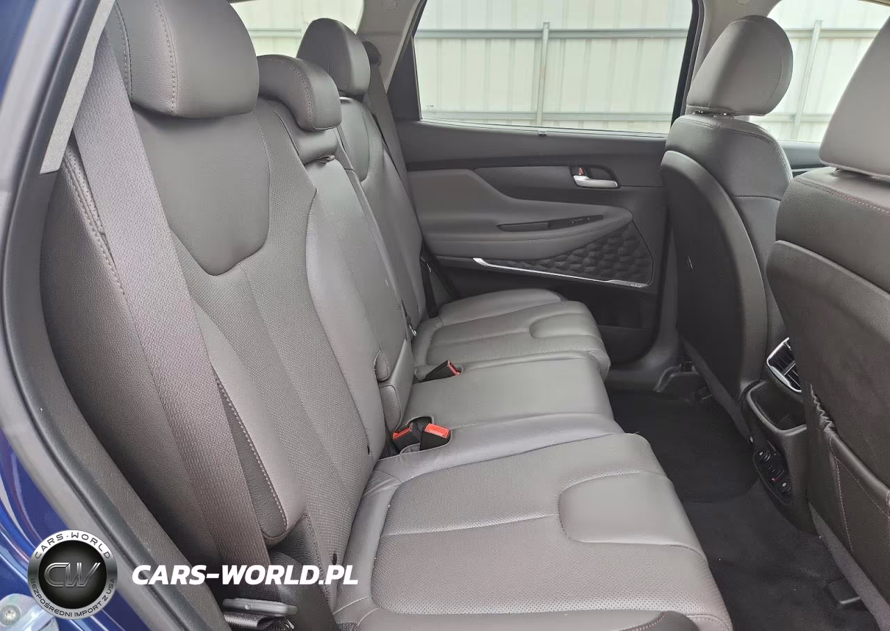 2020 Hyundai Santa Fe Limited VIN:5NMS53ADXLH274050 - 11