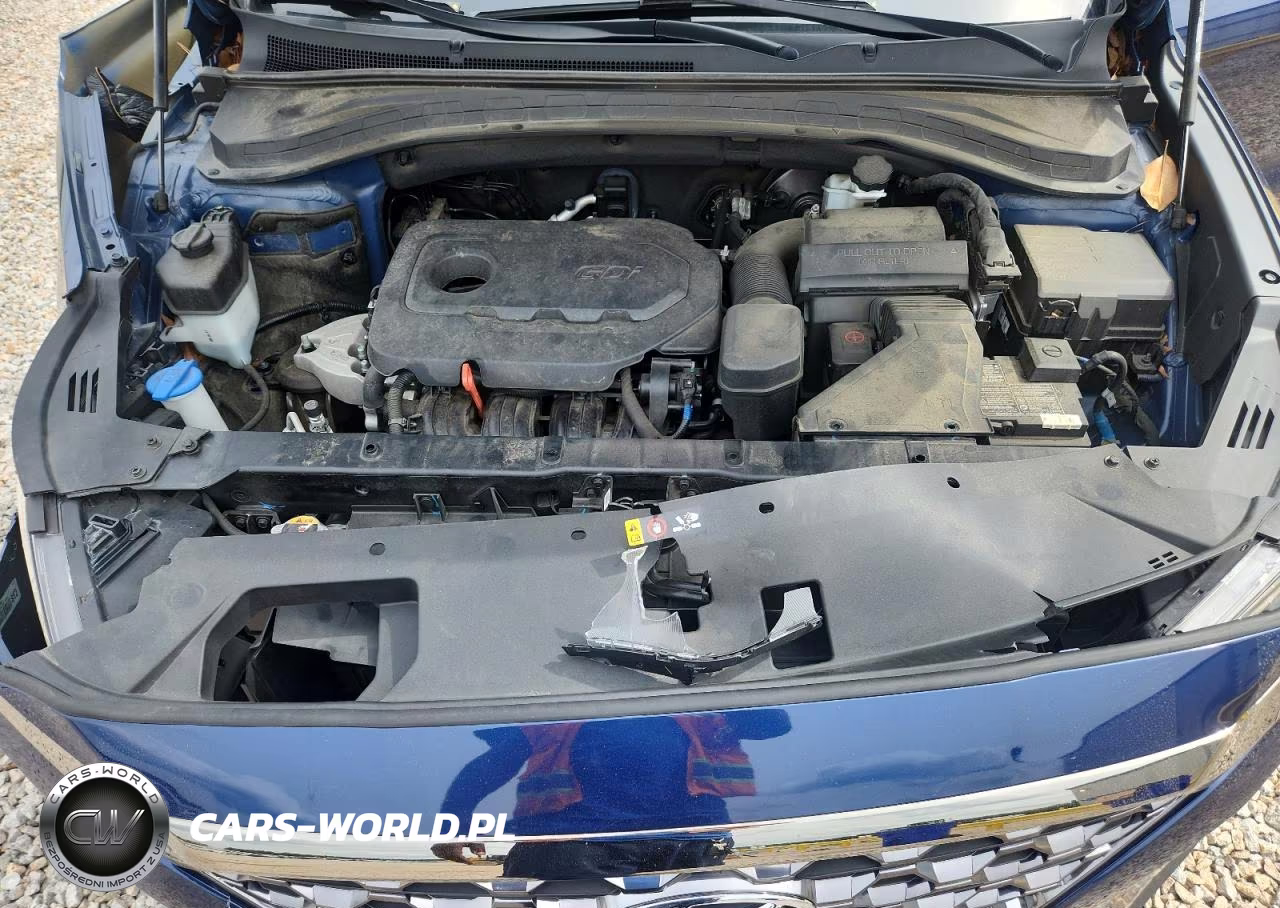 2020 Hyundai Santa Fe Limited VIN:5NMS53ADXLH274050 - 12