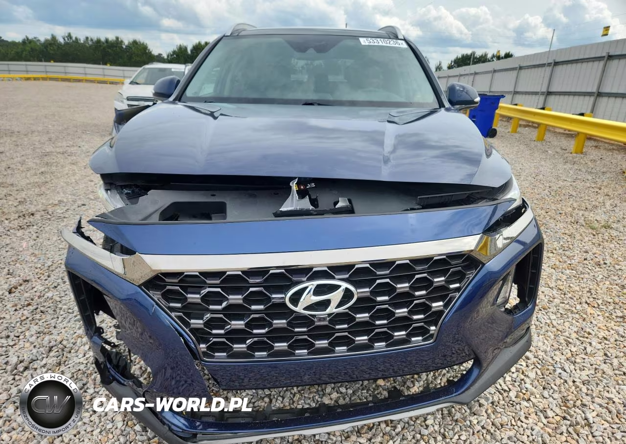 2020 Hyundai Santa Fe Limited VIN:5NMS53ADXLH274050 - 5