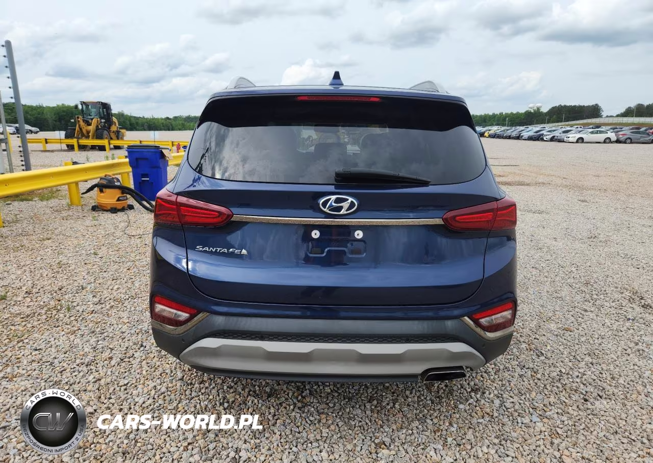 2020 Hyundai Santa Fe Limited VIN:5NMS53ADXLH274050 - 6