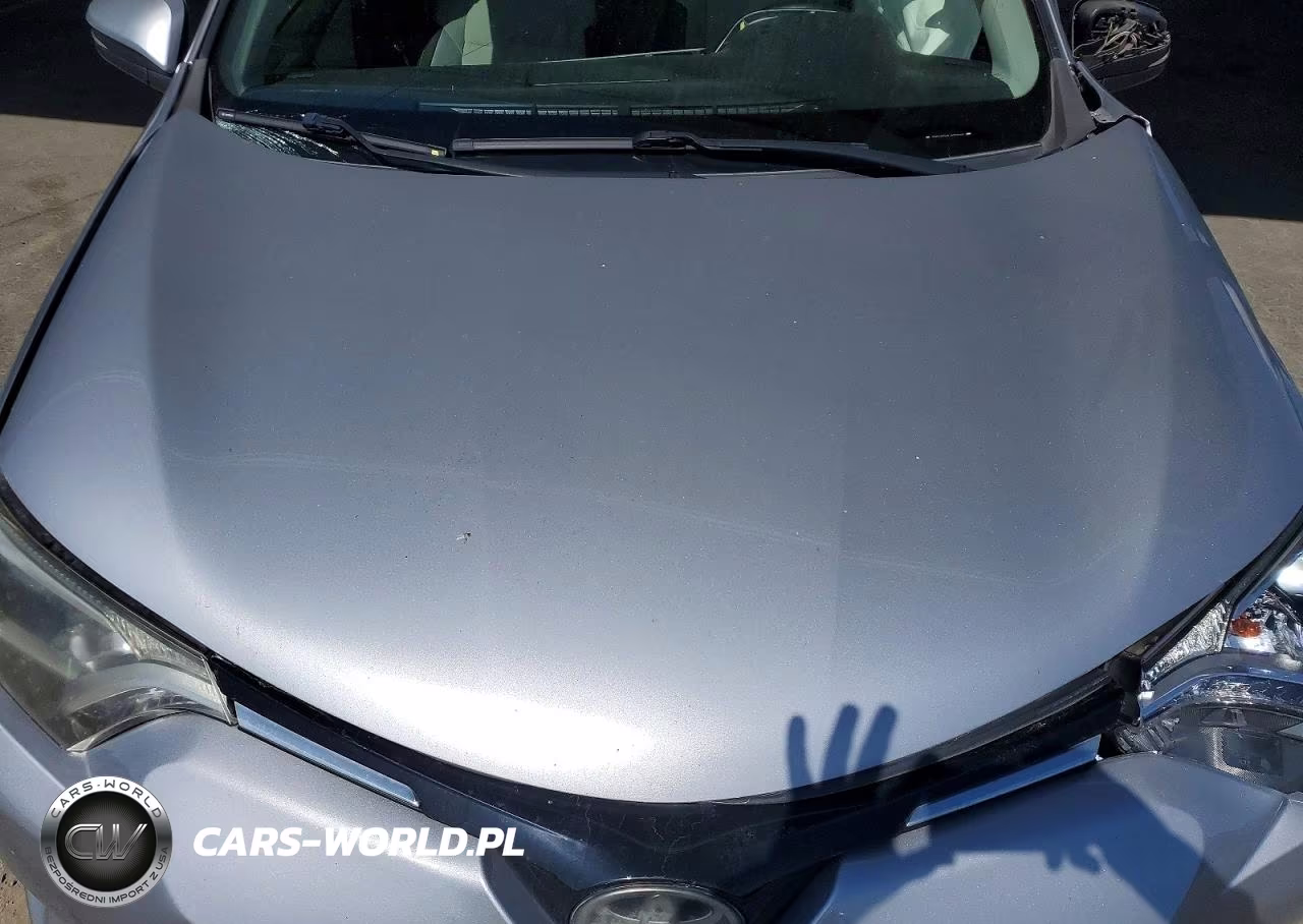 2018 Toyota Rav4 Xle VIN:JTMRFREV9JD257425 - 11