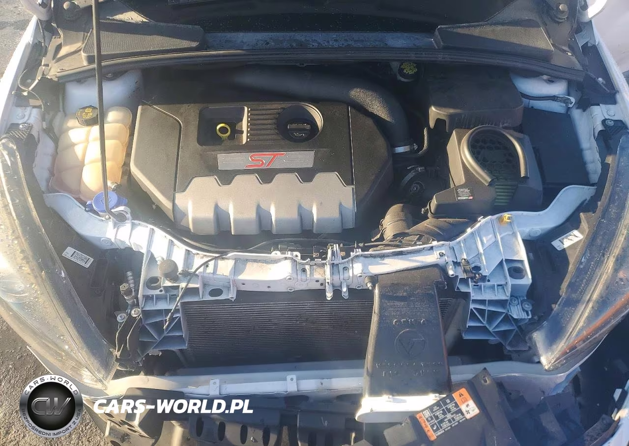 2018 Ford Focus St VIN:1FADP3L91JL221301 - 11