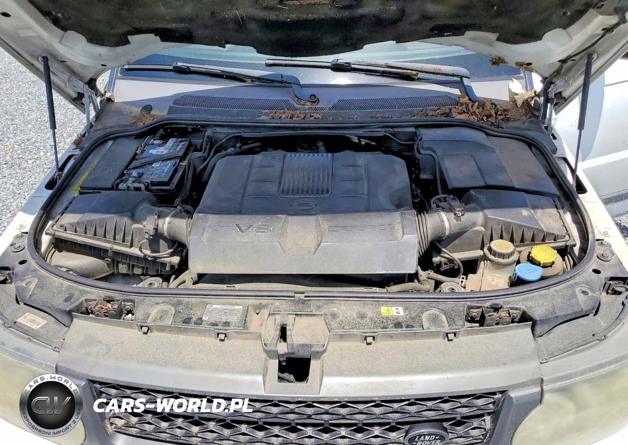 2011 Land Rover Range Rover Sport Lux VIN:SALSK2D41BA266516 - 12