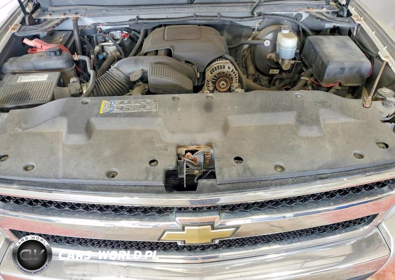 2009 Chevrolet Silverado K1500 Lt VIN:2GCEK29J291117569 - 11