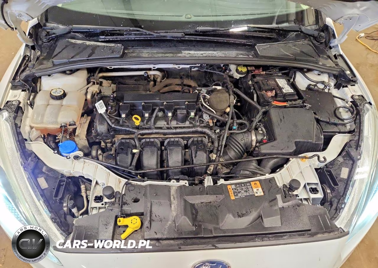 2016 Ford Focus Se VIN:1FADP3K26GL282205 - 11