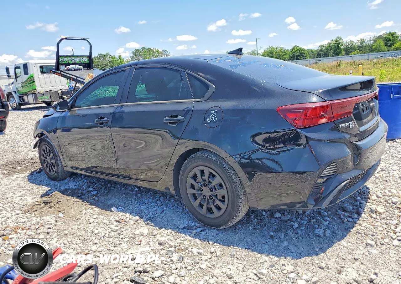 2022 Kia Forte Fe VIN:3KPF24AD8NE445548 - 2