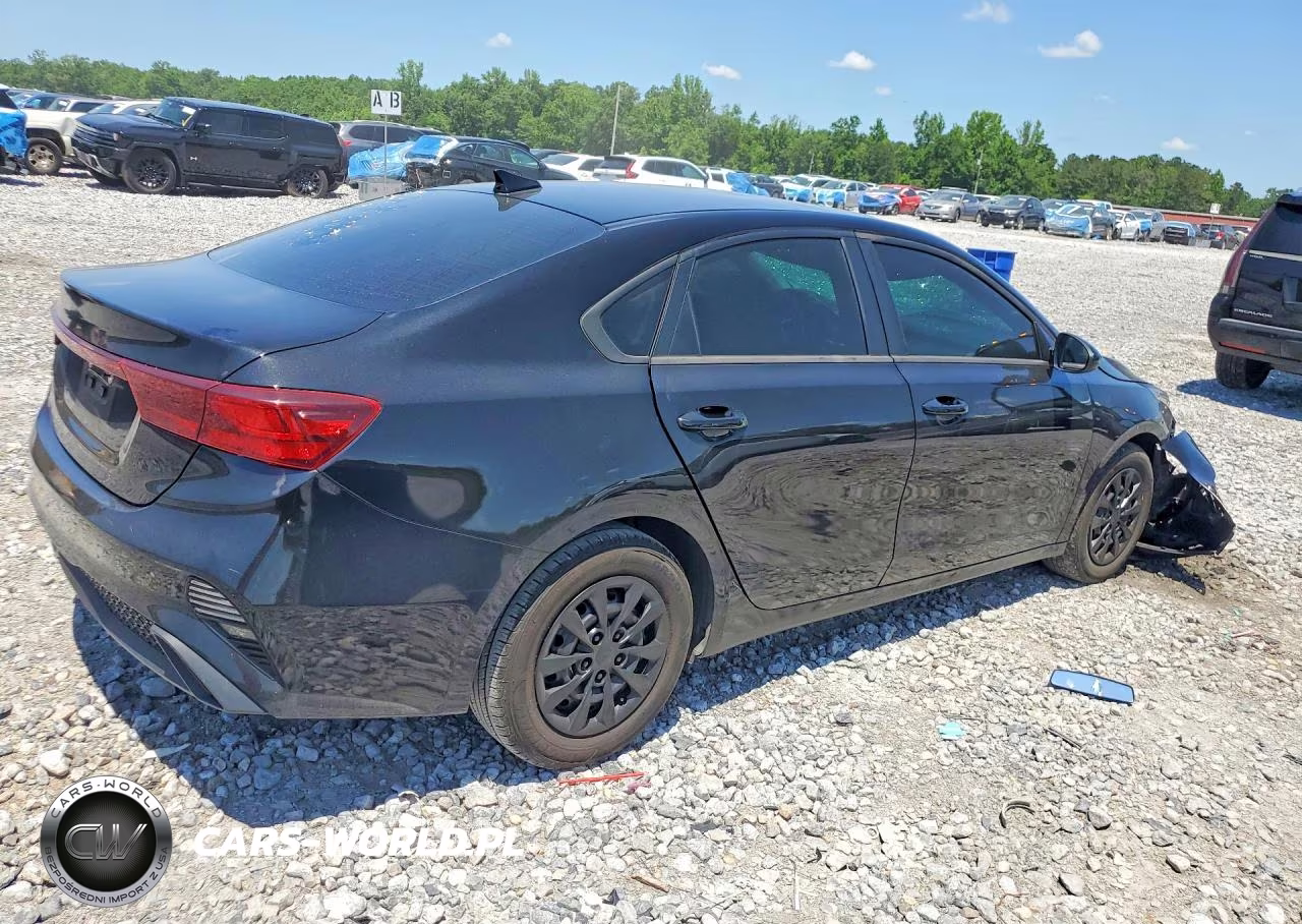 2022 Kia Forte Fe VIN:3KPF24AD8NE445548 - 3