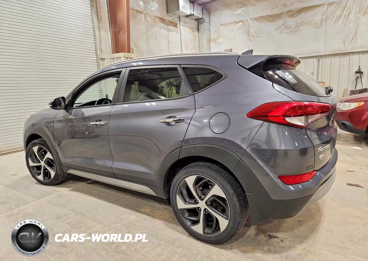 2017 Hyundai Tucson Limited VIN:KM8J3CA24HU304820 - 2