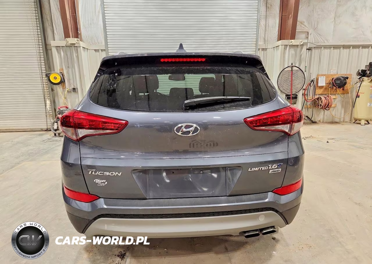 2017 Hyundai Tucson Limited VIN:KM8J3CA24HU304820 - 6