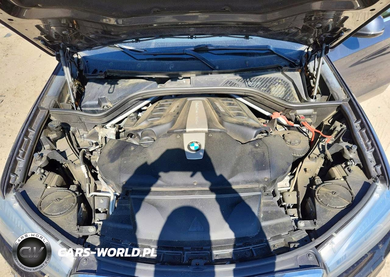 2014 BMW X5 xDrive50I VIN:5UXKR6C5XE0C02801 - 12