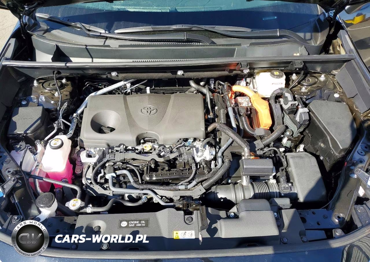 2025 Toyota Rav4 Hybrid Xle VIN:4T3RWRFV6SU206709 - 12