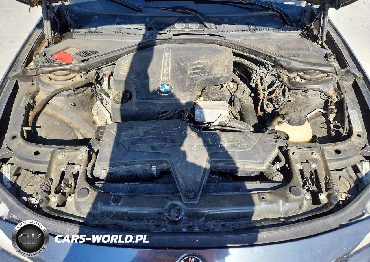 2014 BMW 320 I xDrive VIN:WBA3C3C52EPV90775 - 11