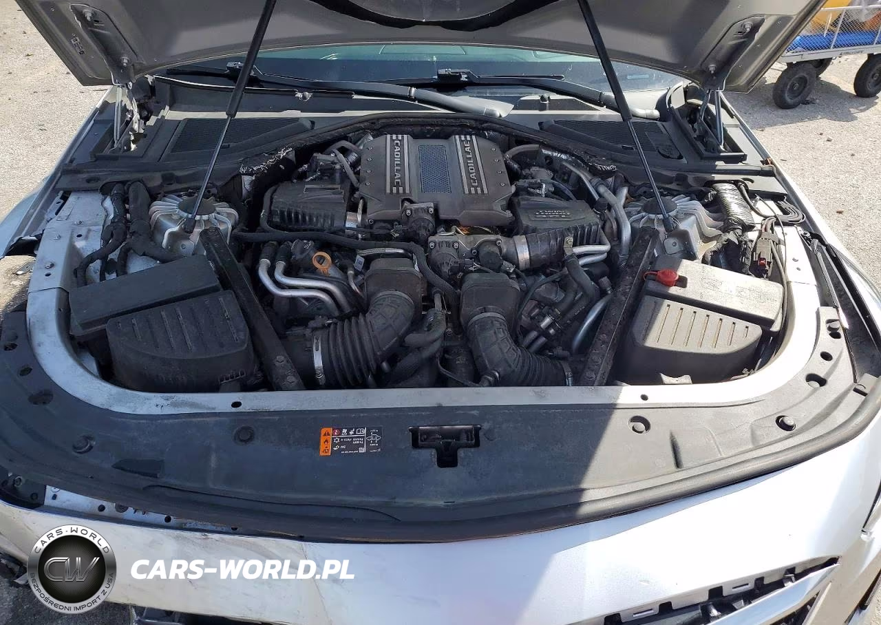 2019 Cadillac Ct6 Luxury (Csav) VIN:1G6KJ5RJXKU133409 - 11