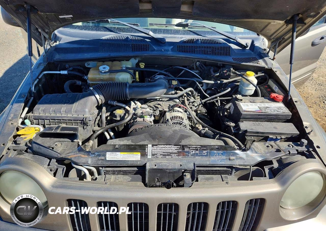 2004 Jeep Liberty Limited VIN:1J8GL58K14W204598 - 11