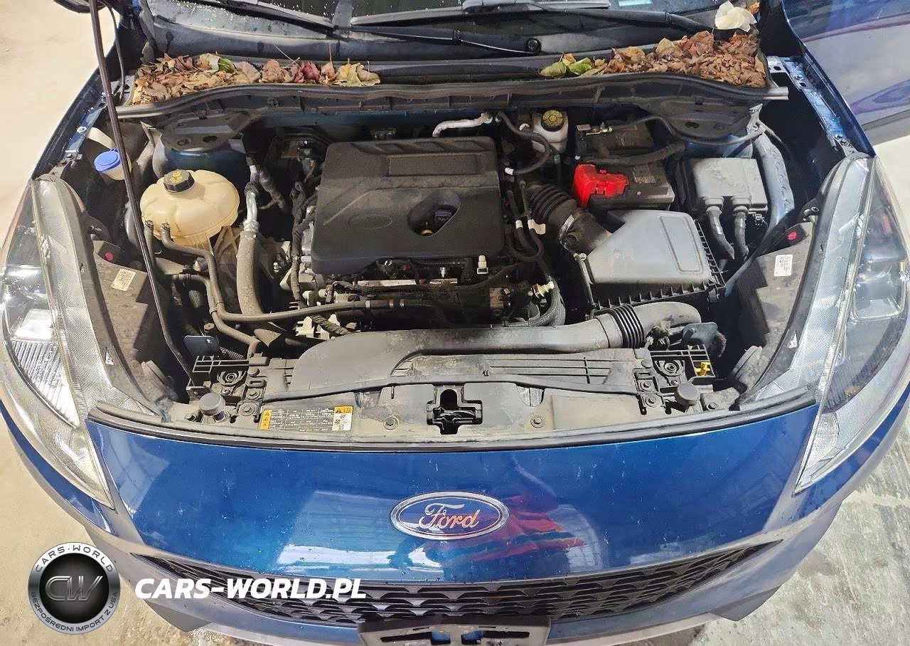 2020 Ford Escape S VIN:1FMCU0F66LUA55770 - 12