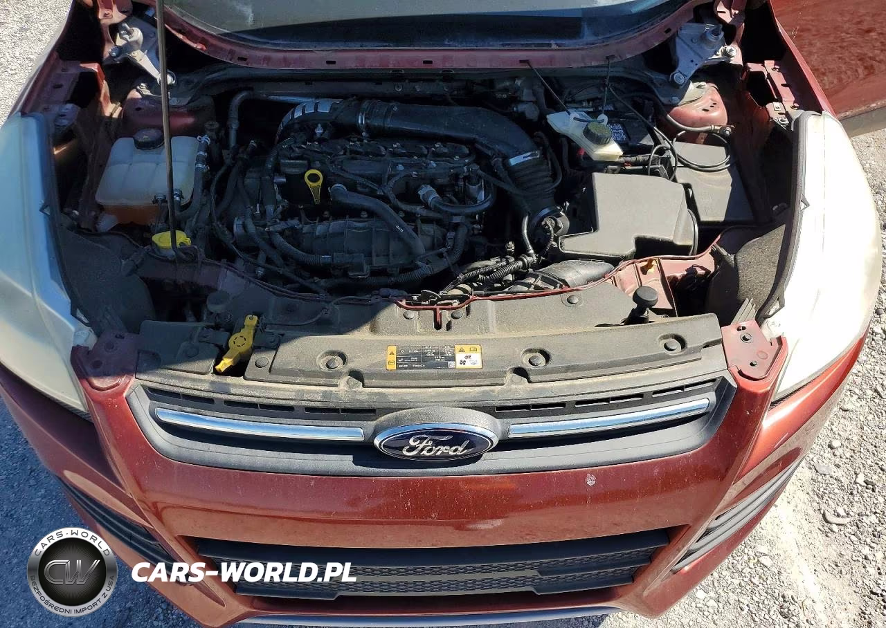 2014 Ford Escape Se VIN:1FMCU0GX8EUB12447 - 12