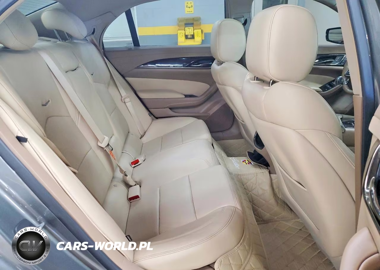 2016 Cadillac Cts Luxury Collection VIN:1G6AX5SXXG0109182 - 10