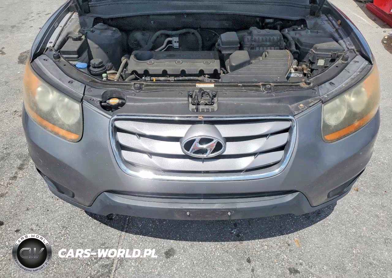 2010 Hyundai Santa Fe Gls VIN:5NMSG3AB0AH400714 - 12
